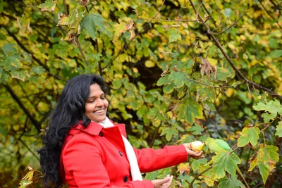 DSC_0512 (Large).JPG